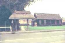 A Brief History of St Francis Church